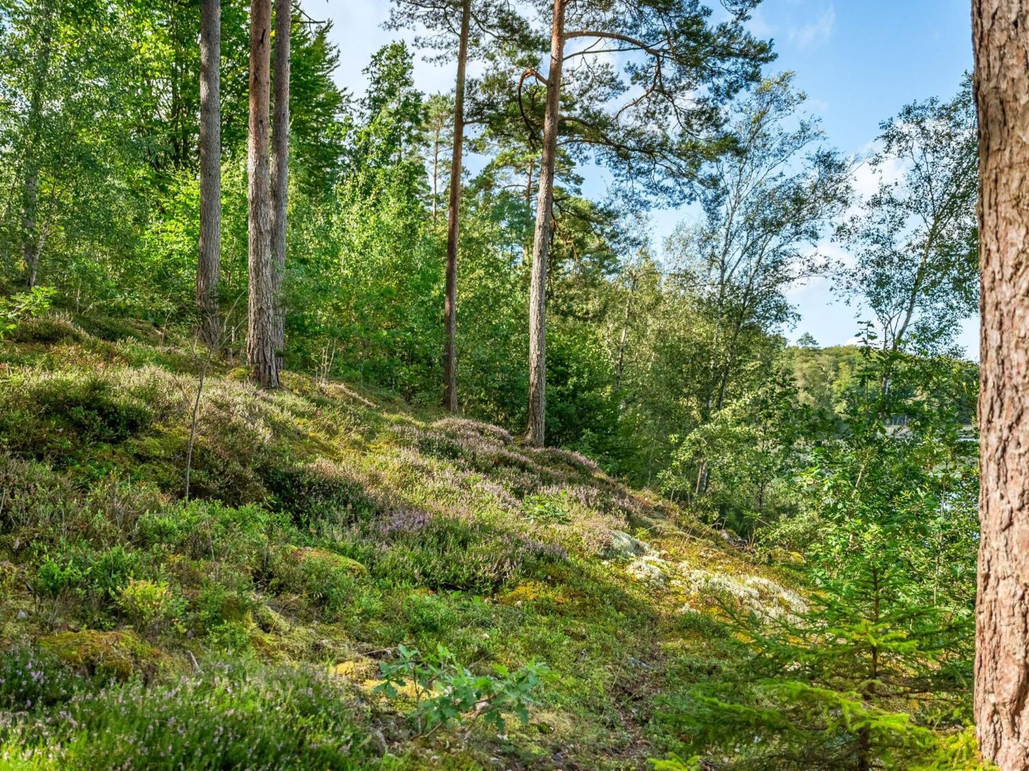 Holiday Home Gaslunda By Interhome Olofström Kültér fotó